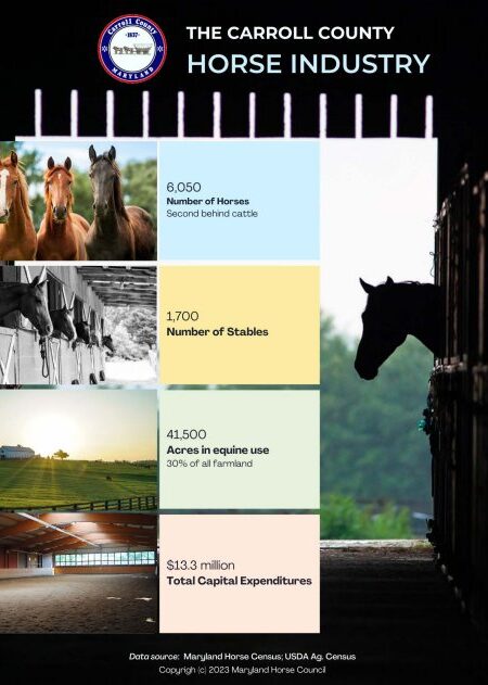 carroll horse facts