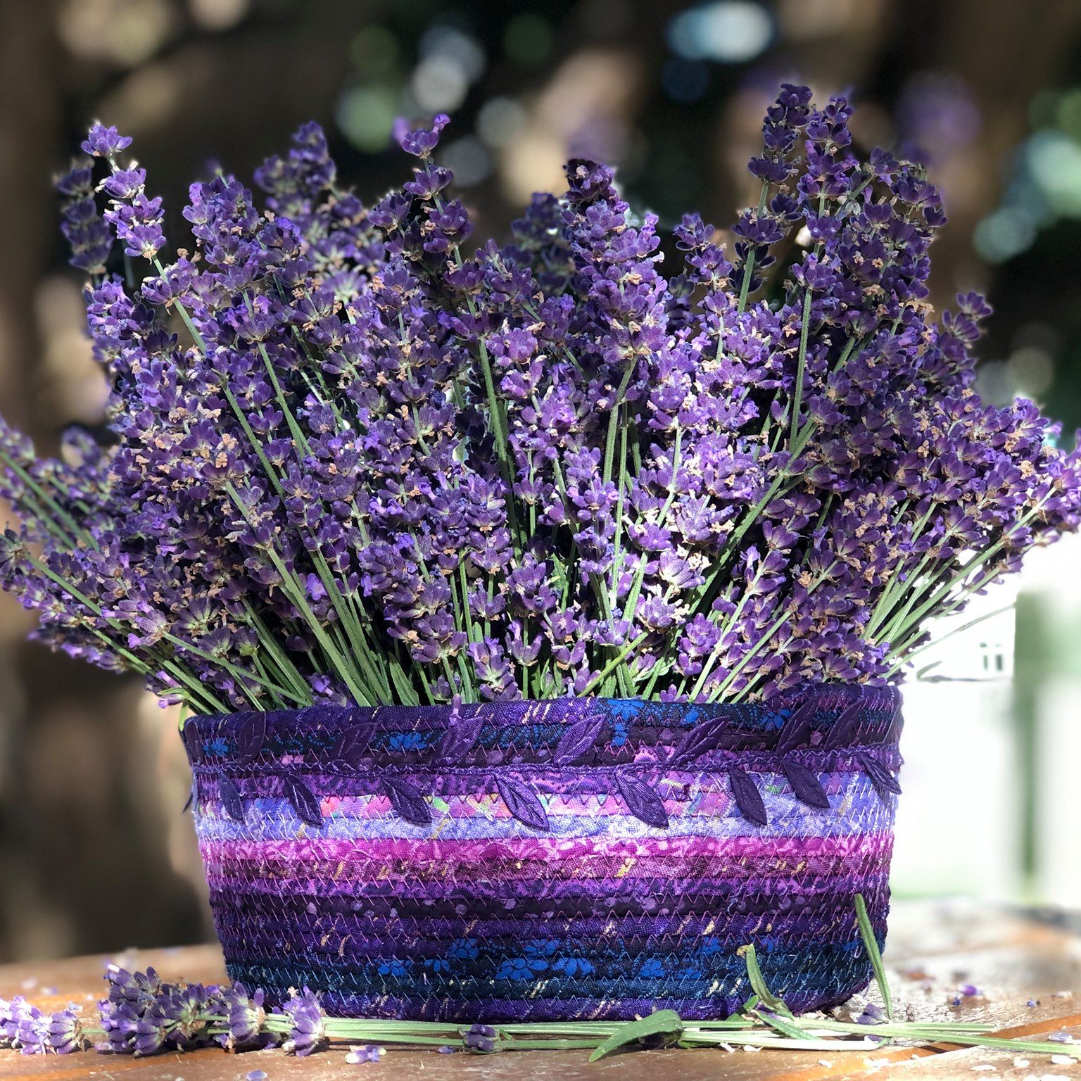 Serene Lavender Farm - Carroll County Grown