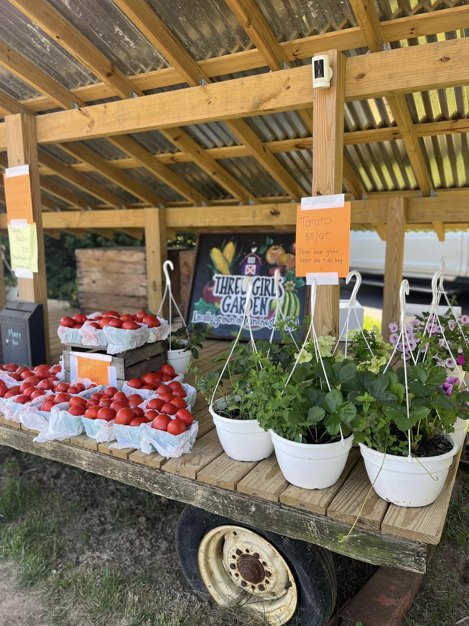 Three Girls Garden - Carroll County Grown