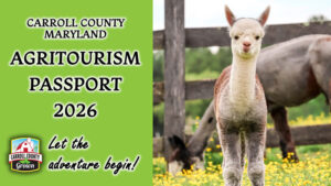 Image of Agritourism passport header with a young Alpaca