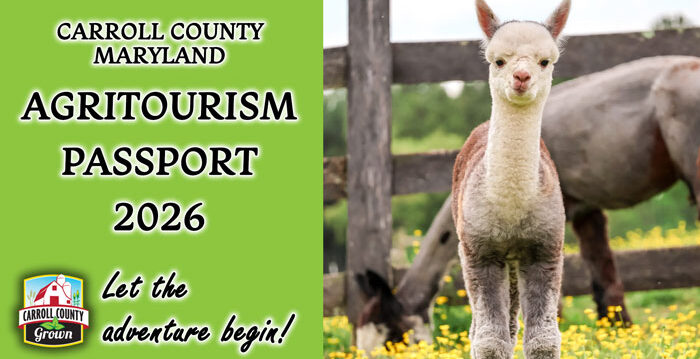 Image of Agritourism passport header with a young Alpaca